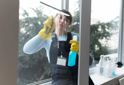 Nettoyage de vitres intérieures et extérieures à Thalamy